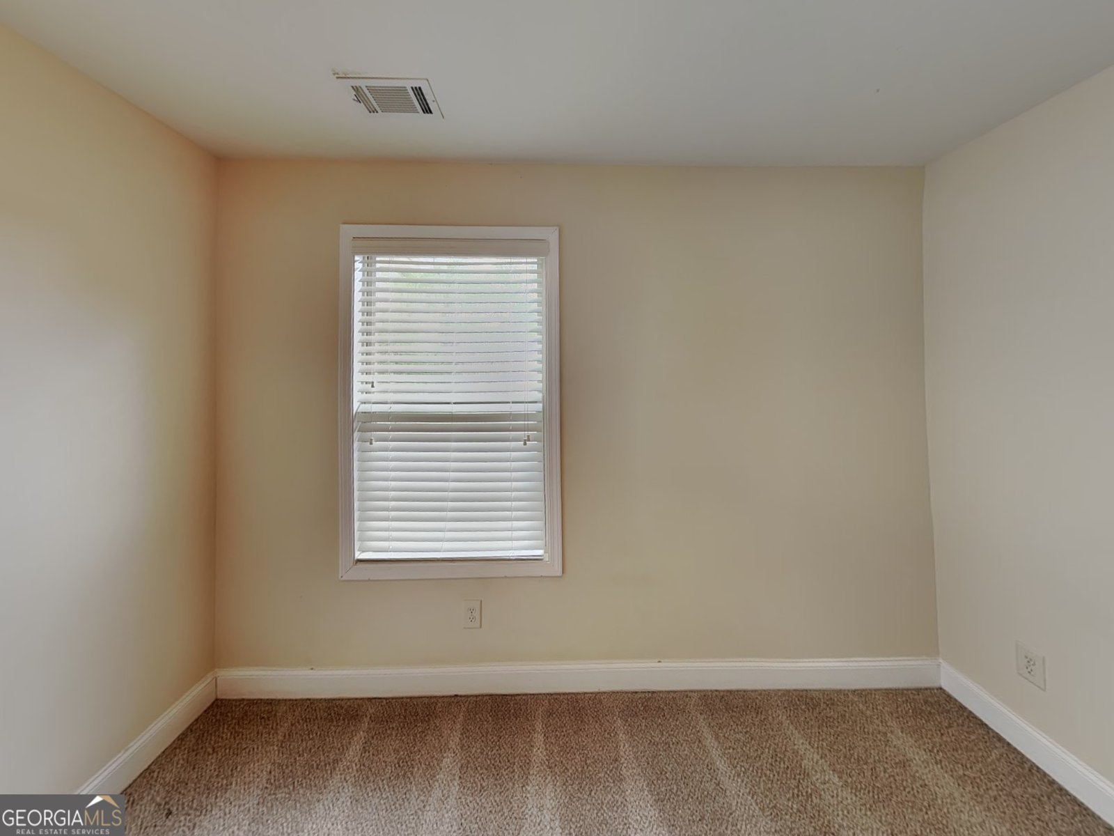 453 Cherry Creek Drive Loganville - Photo 15