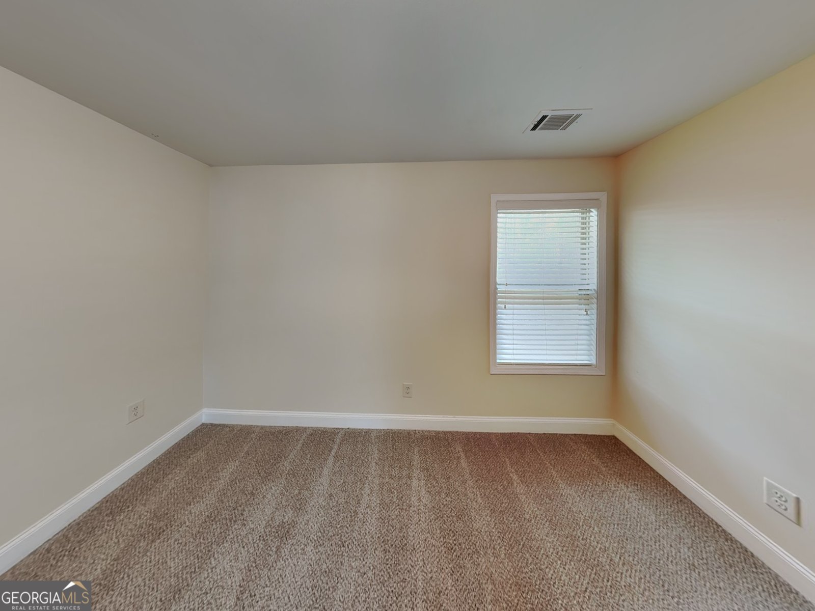 453 Cherry Creek Drive Loganville - Photo 16