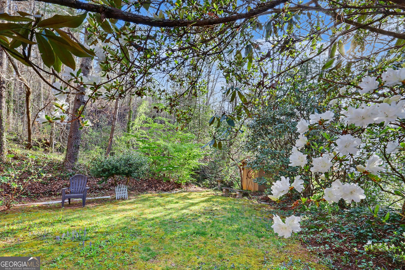 62 Stornoway Drive Clayton - Photo 42