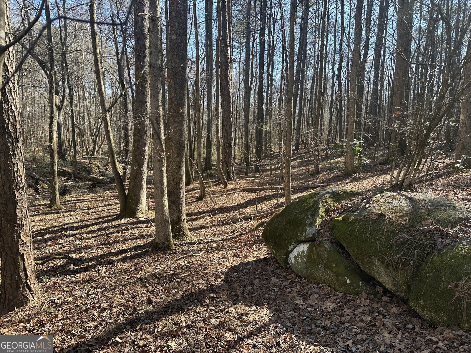 178 Crabapple Lane Tyrone - Photo 12