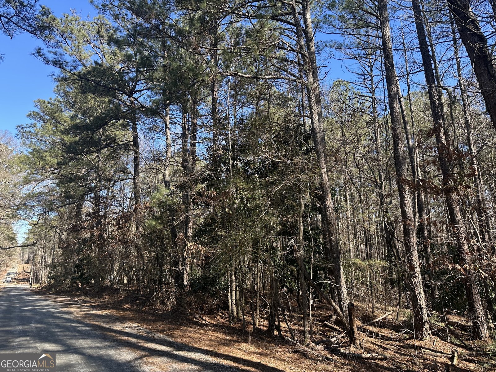 178 Crabapple Lane Tyrone - Photo 13