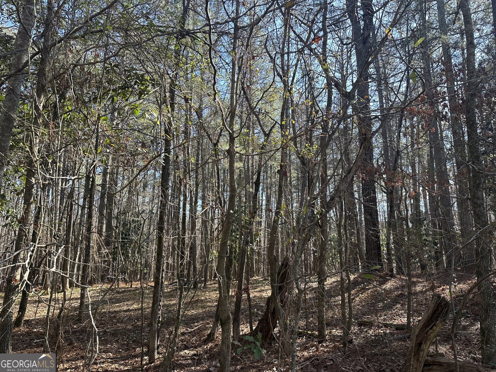 178 Crabapple Lane Tyrone - Photo 14