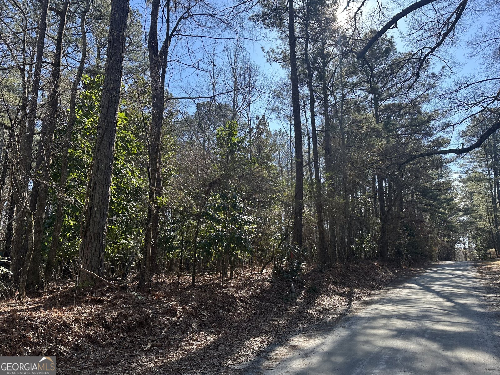 178 Crabapple Lane Tyrone - Photo 16