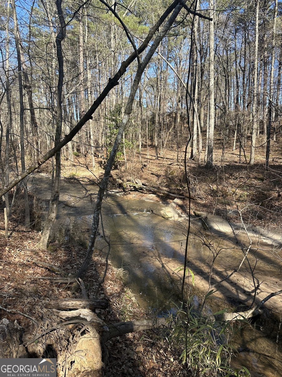 178 Crabapple Lane Tyrone - Photo 17