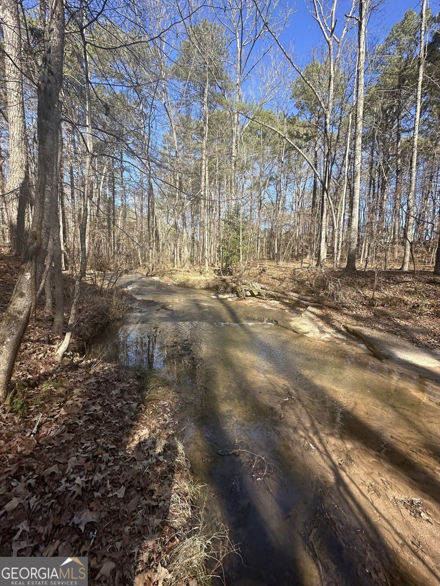 178 Crabapple Lane Tyrone - Photo 21