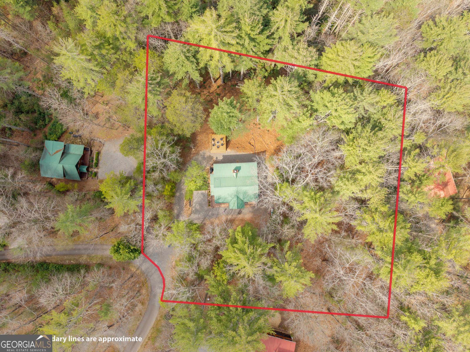 188 The Forest Road Blue Ridge - Photo 39