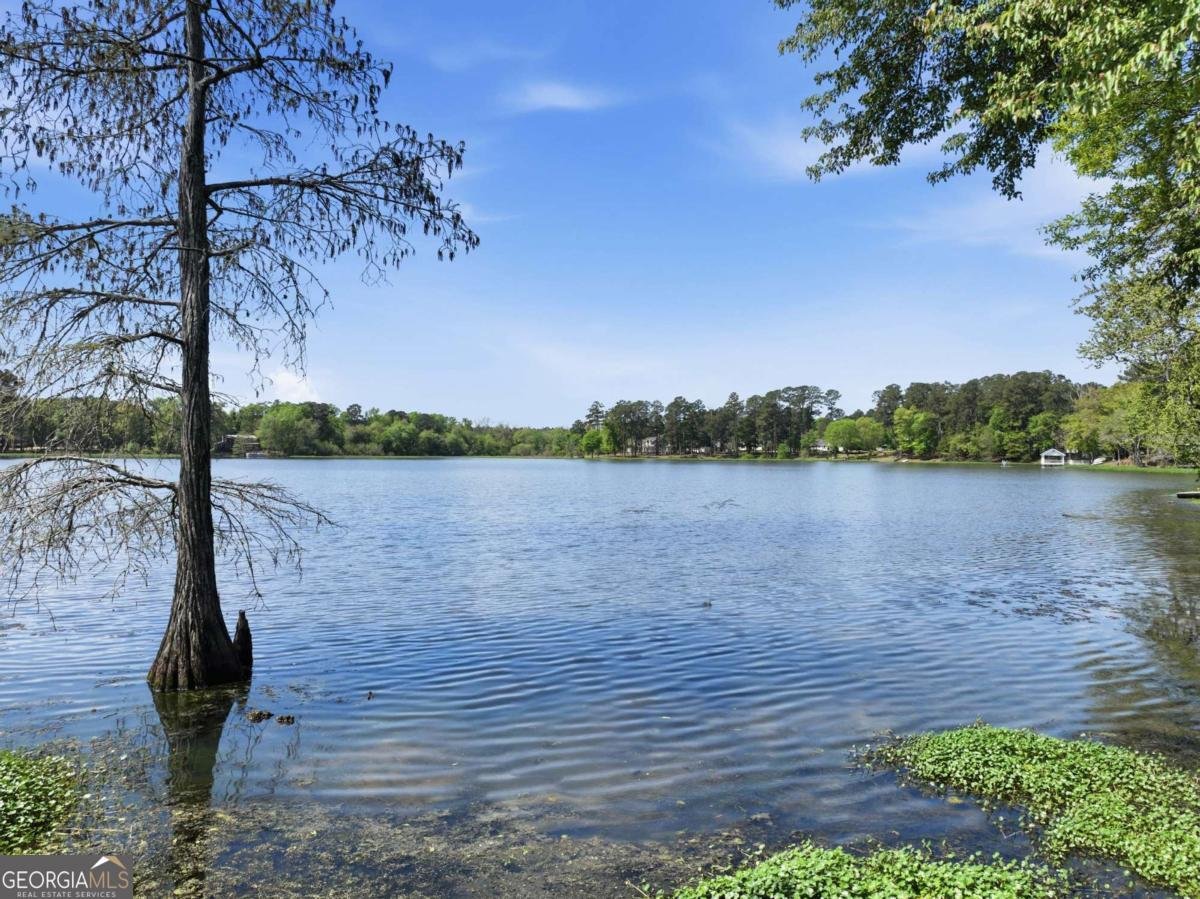 1044 Lewis Mill Lake Road Vienna - Photo 55