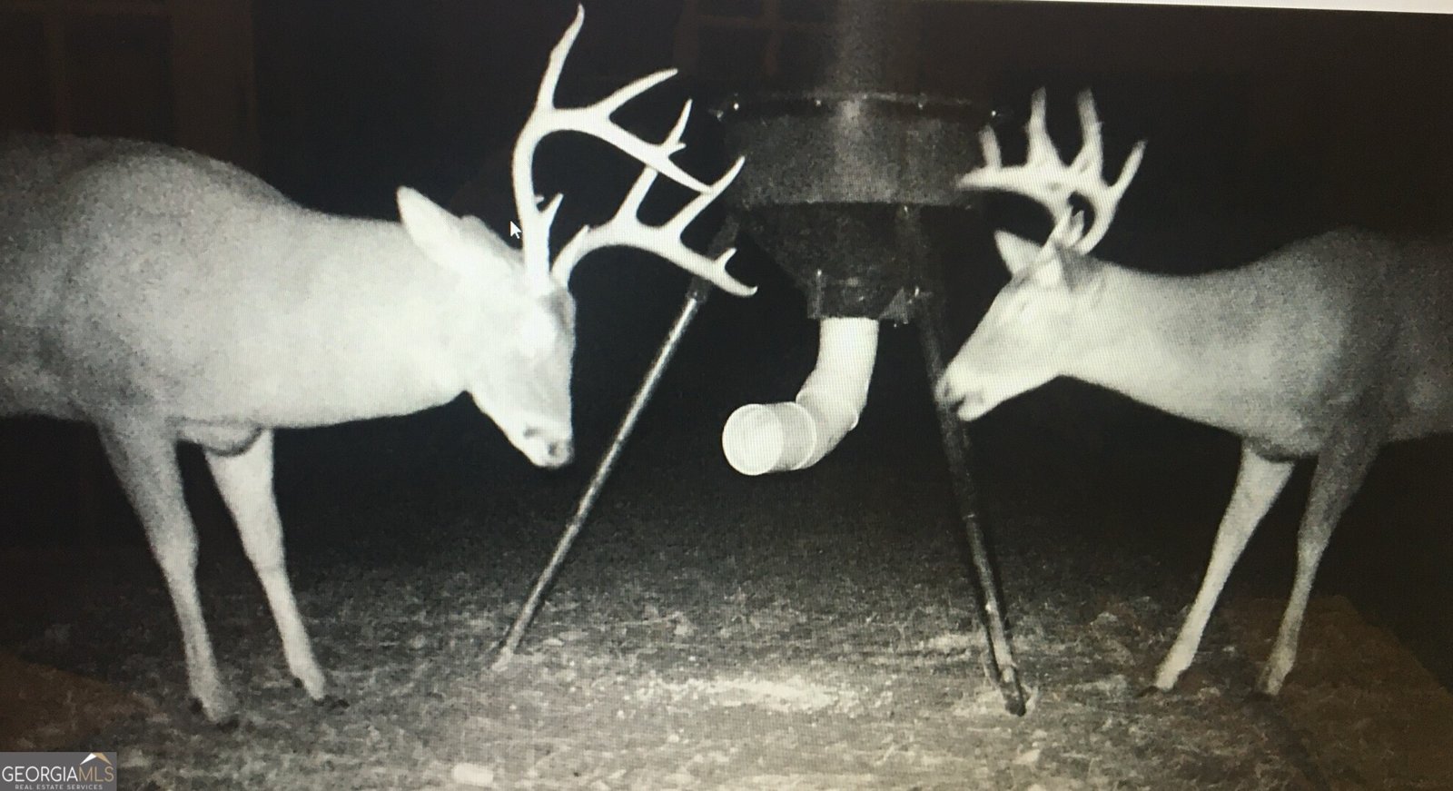 1000 State Line Rd LaGrange - Photo 75