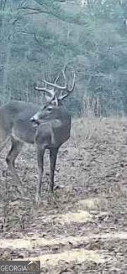 1000 State Line Rd LaGrange - Photo 77