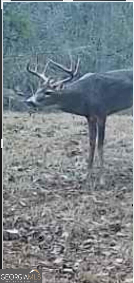 1000 State Line Rd LaGrange - Photo 78