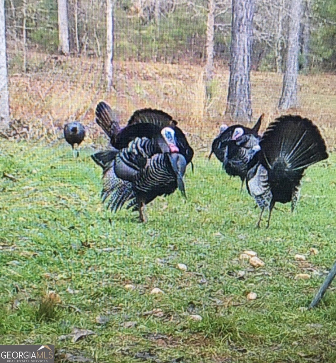 1000 State Line Rd LaGrange - Photo 80