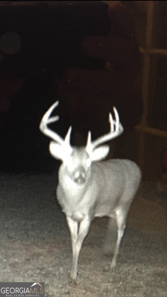 1000 State Line Rd LaGrange - Photo 81