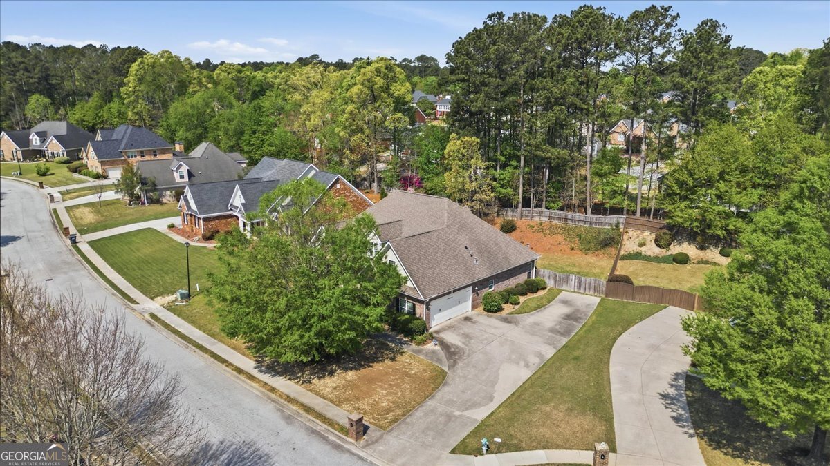 412 Big Sam Circle Loganville - Photo 49