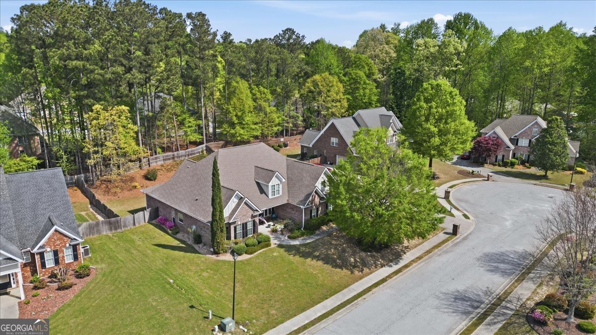 412 Big Sam Circle Loganville - Photo 50