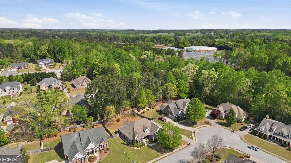 412 Big Sam Circle Loganville - Photo 54