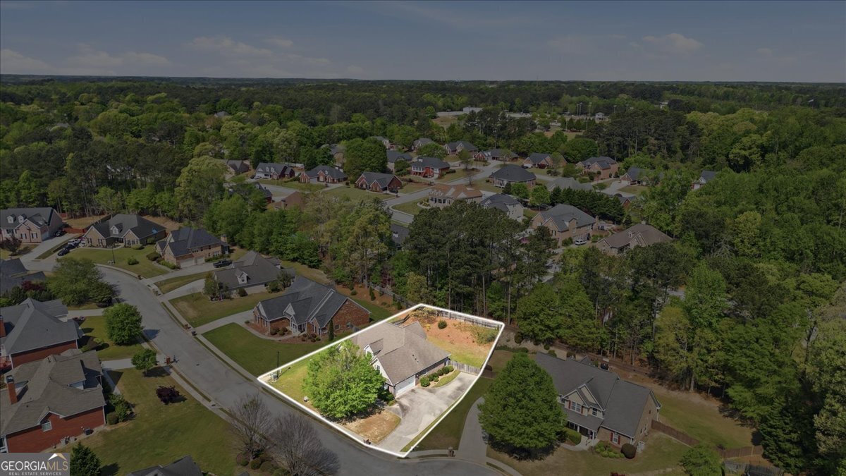 412 Big Sam Circle Loganville - Photo 57