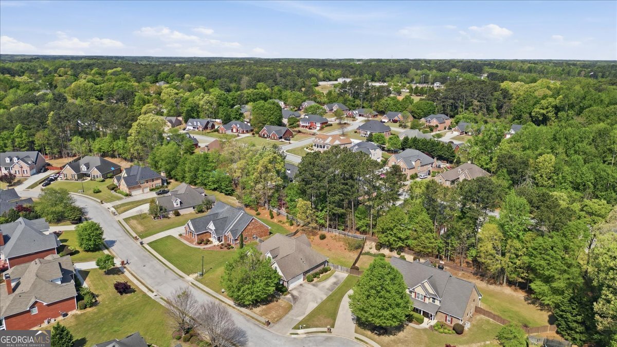 412 Big Sam Circle Loganville - Photo 58