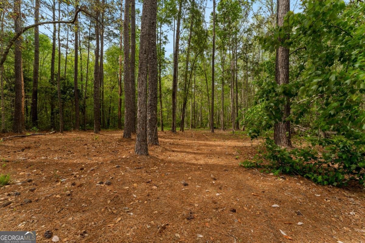 140 Huger Street Rincon - Photo 42