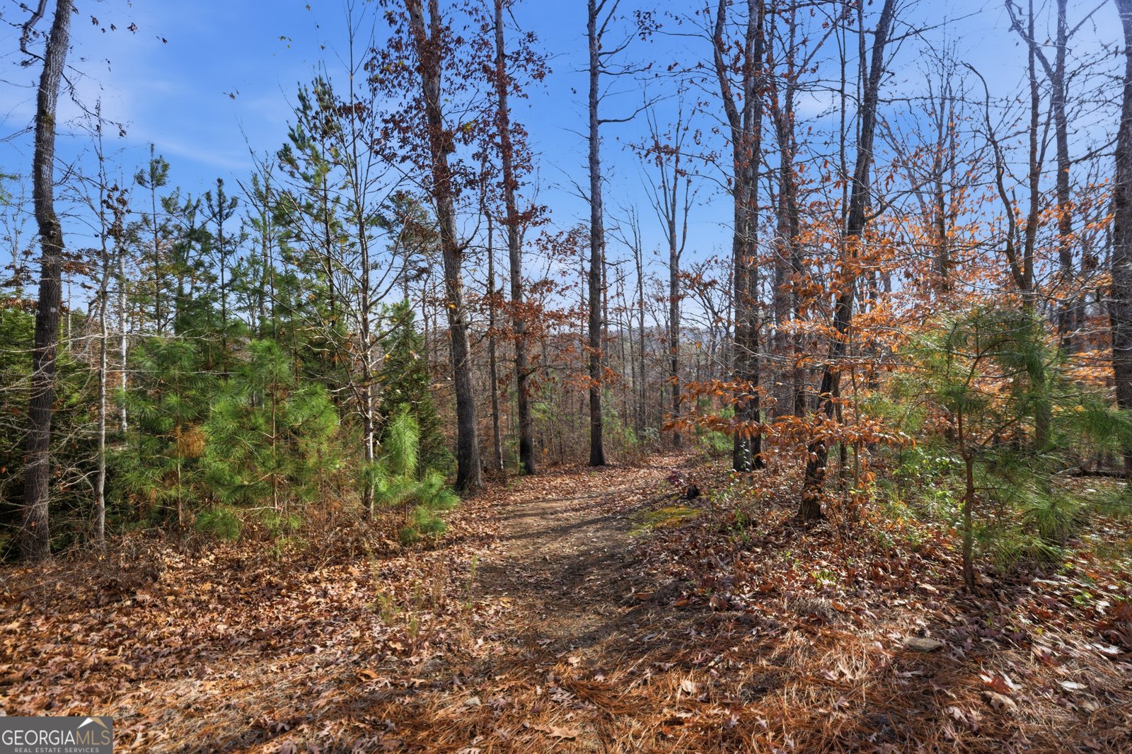 613 Abbington River Lane Atlanta - Photo 52