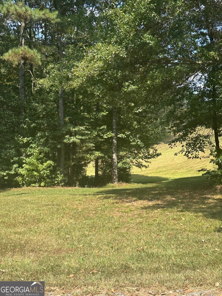 8275 Pea Ridge Road Cornelia - Photo 19