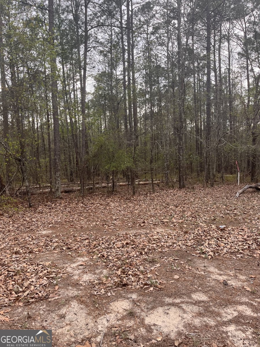 106 Missed Lane Sparta - Photo 10