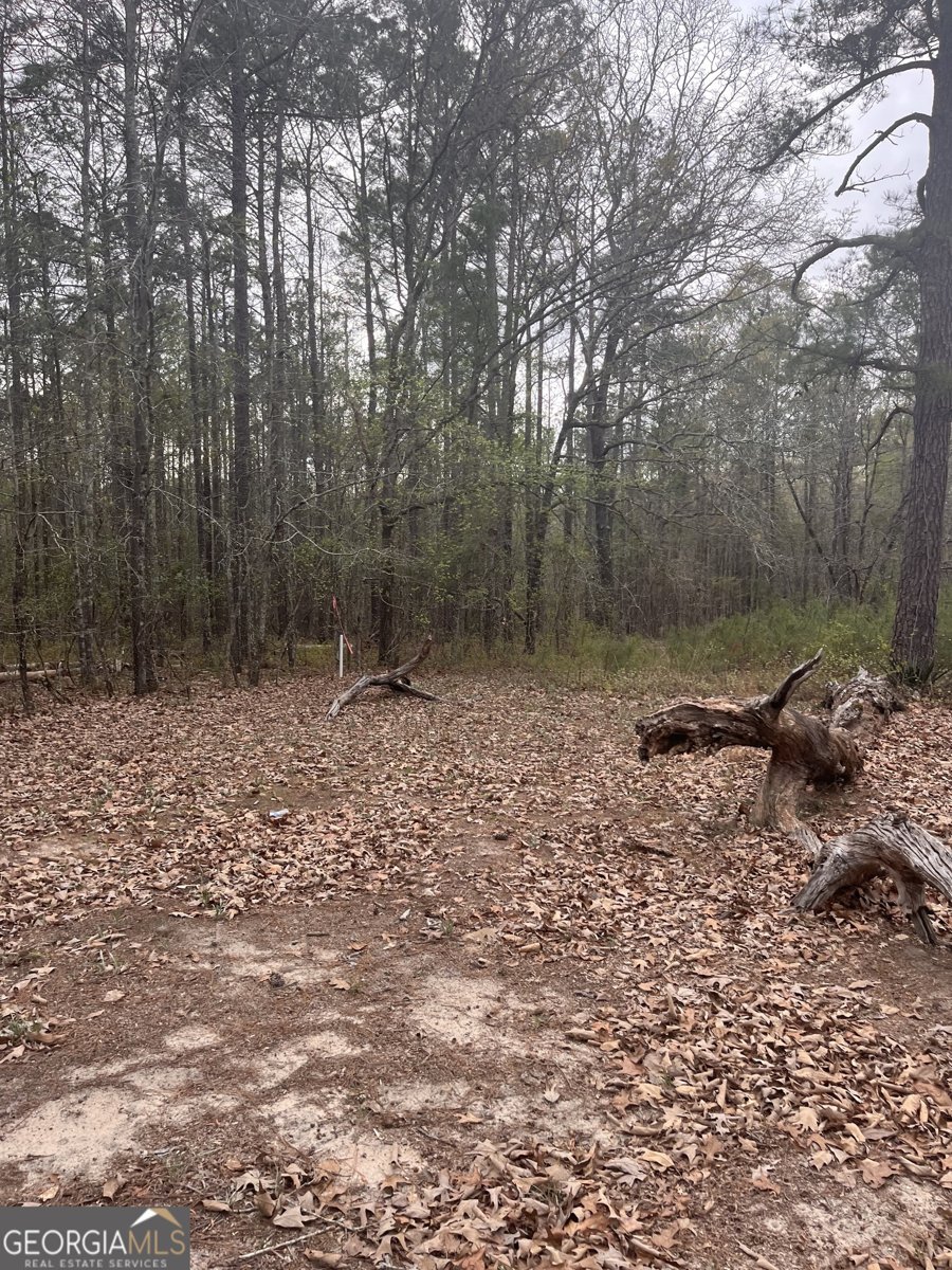 106 Missed Lane Sparta - Photo 13