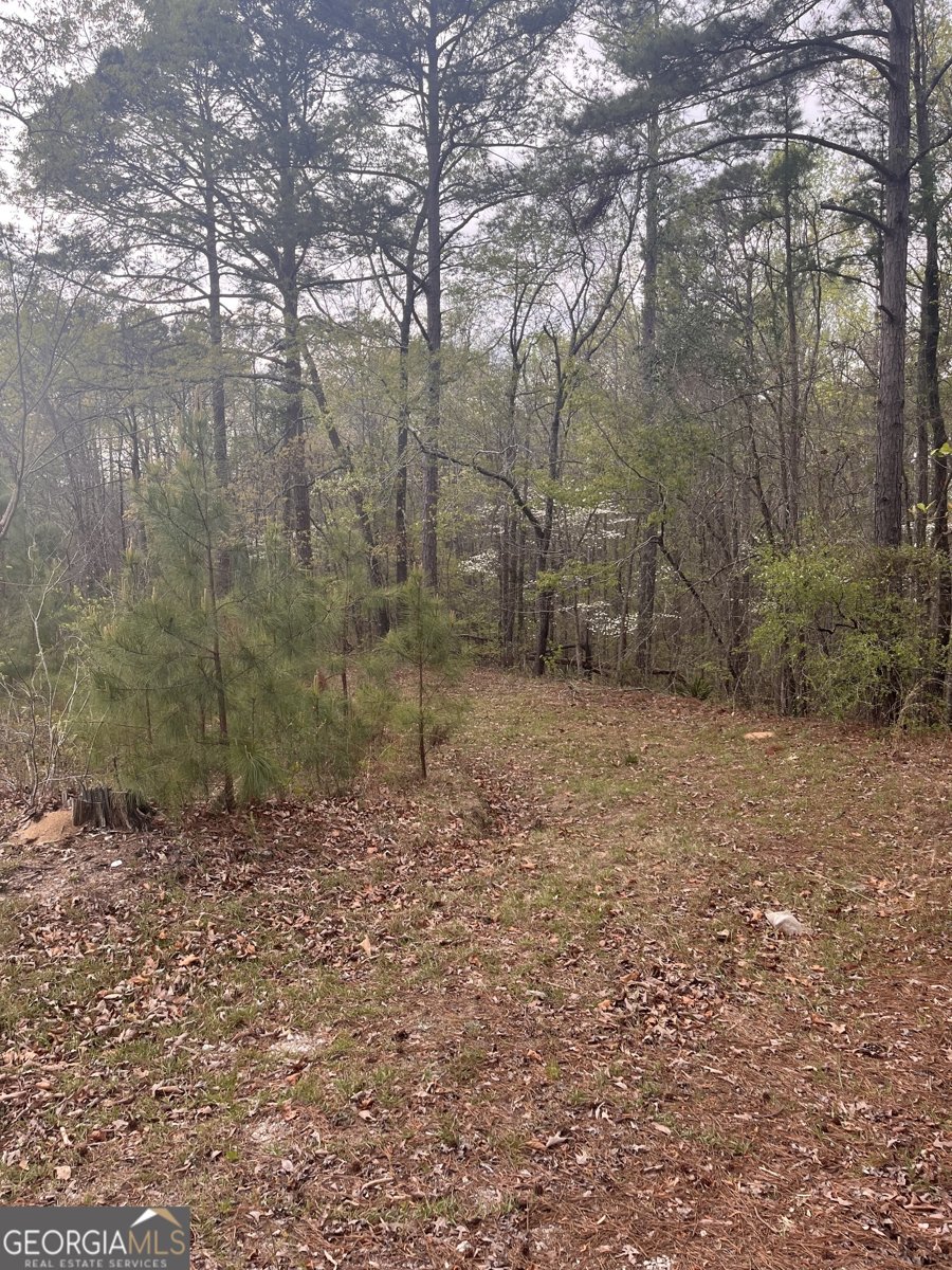 106 Missed Lane Sparta - Photo 14