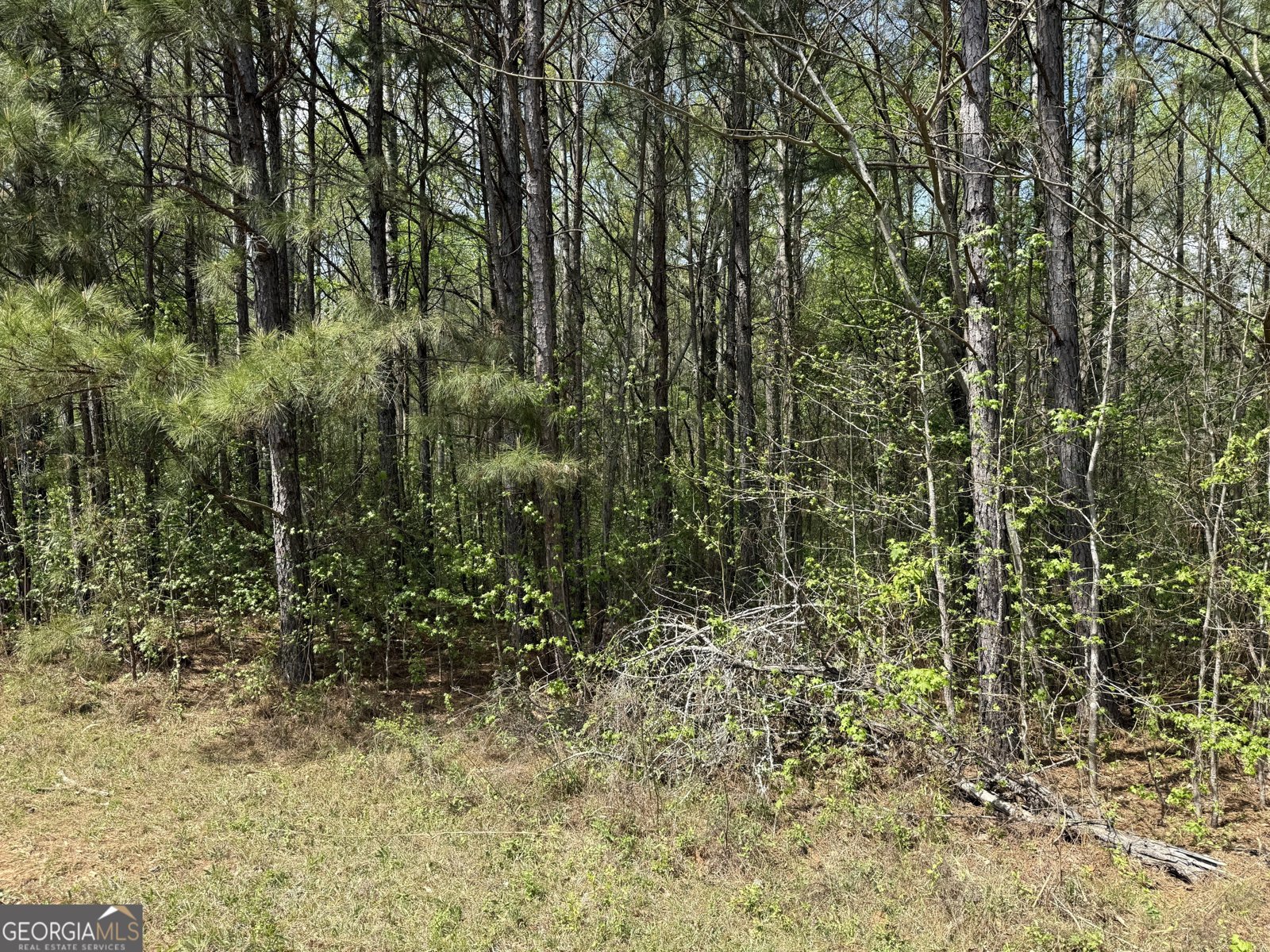 610 E Johnson Street Temple - Photo 13