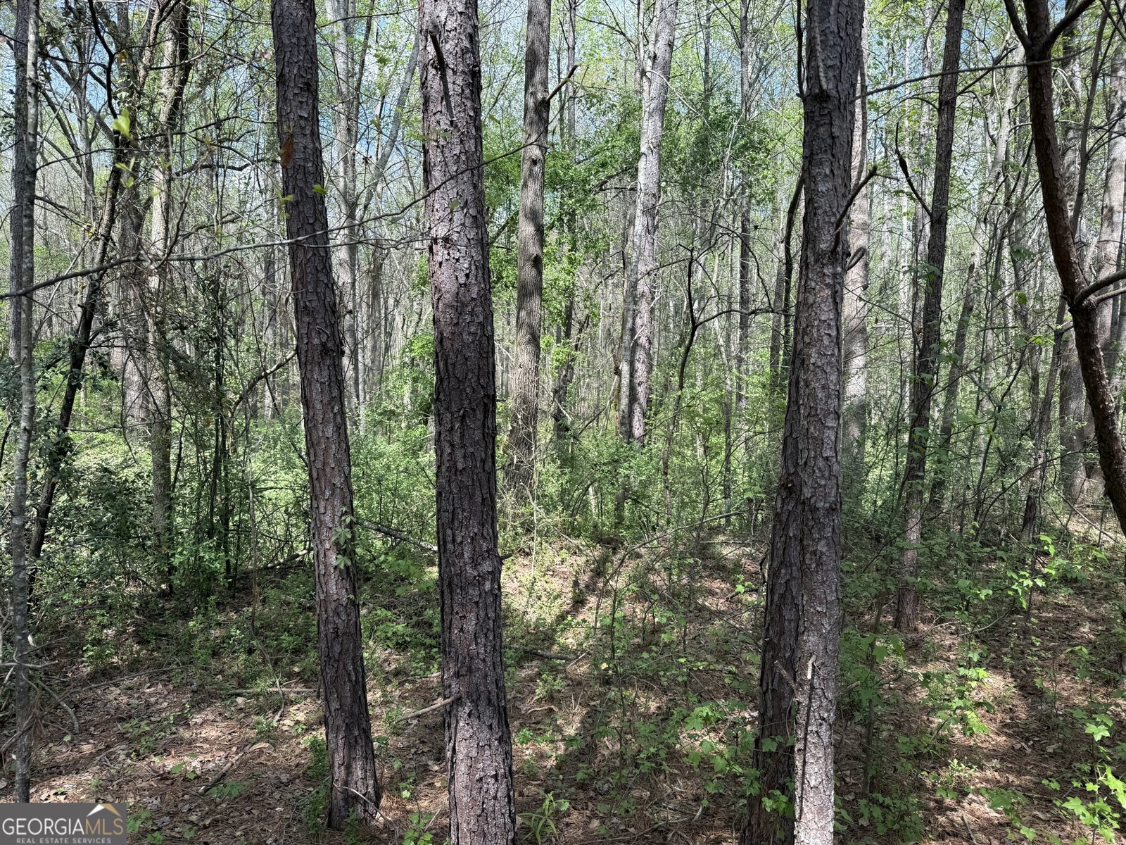 610 E Johnson Street Temple - Photo 15