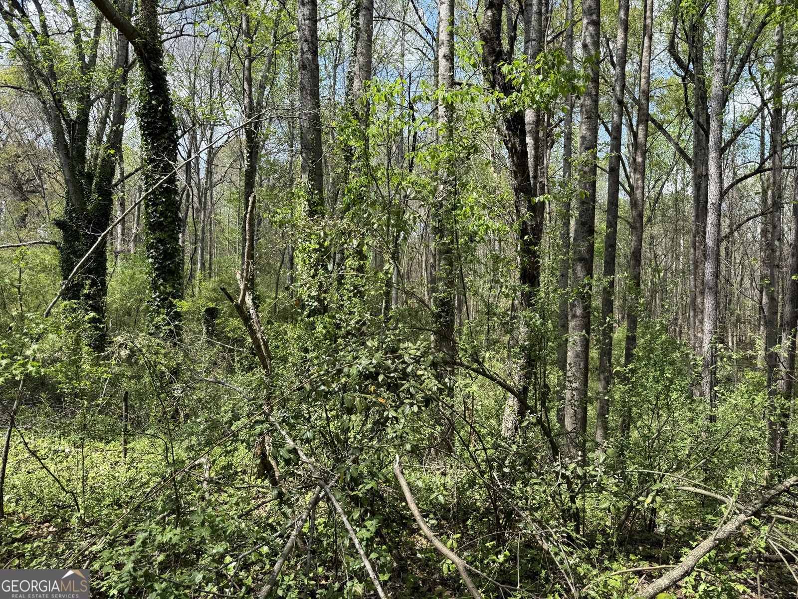 610 E Johnson Street Temple - Photo 16