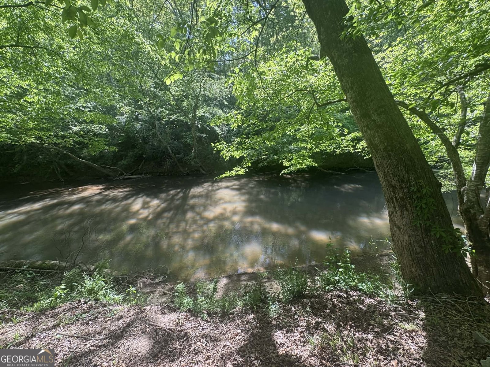 597 Meadow Brook Lane Royston - Photo 35