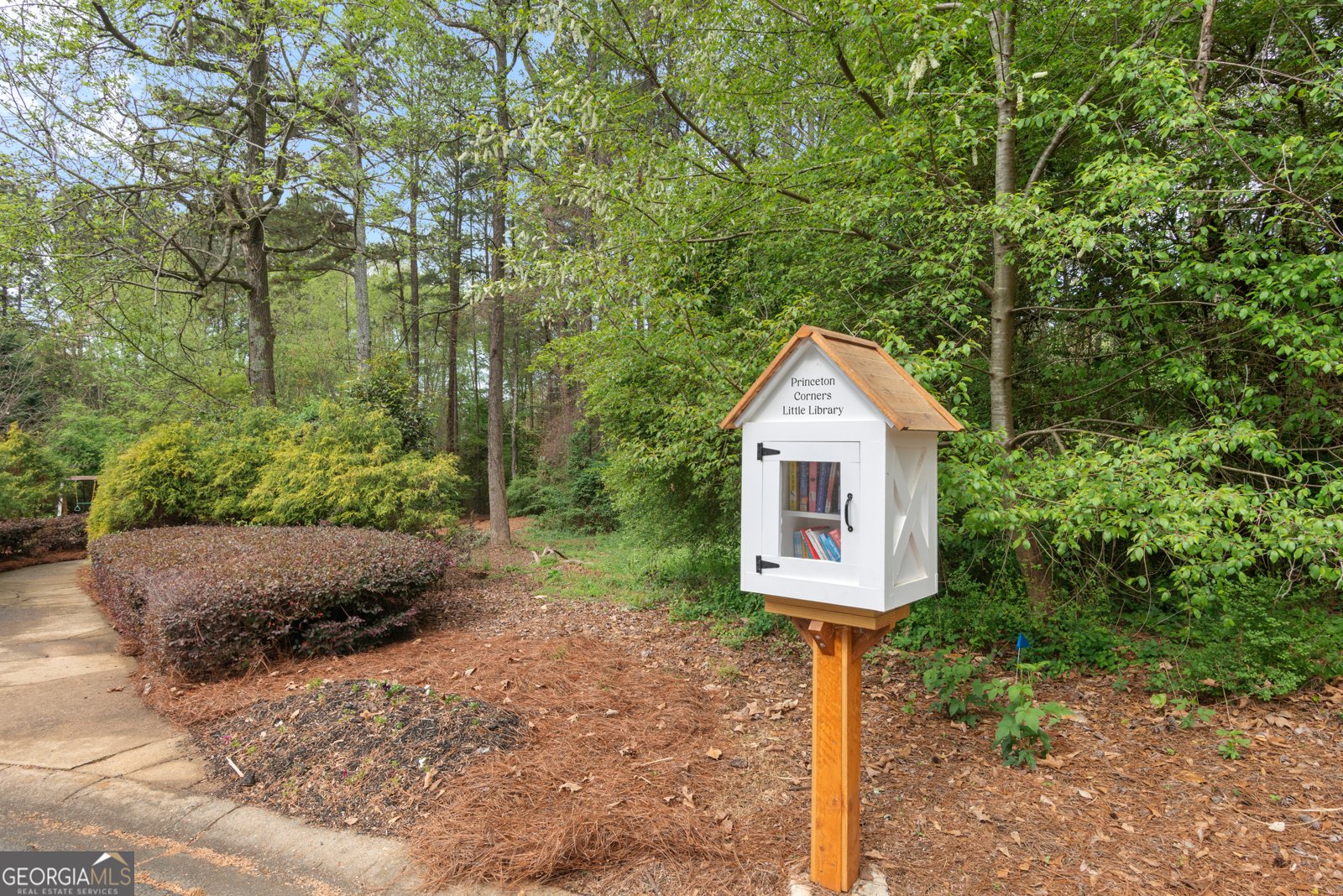 3530 Princeton Corners Lane Marietta - Photo 51