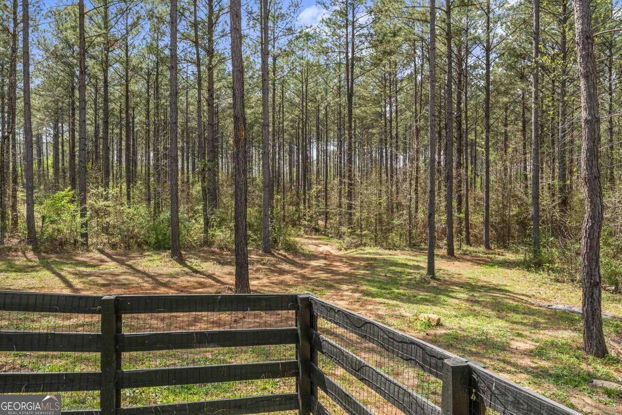 263 Bill Estes Road Senoia - Photo 42