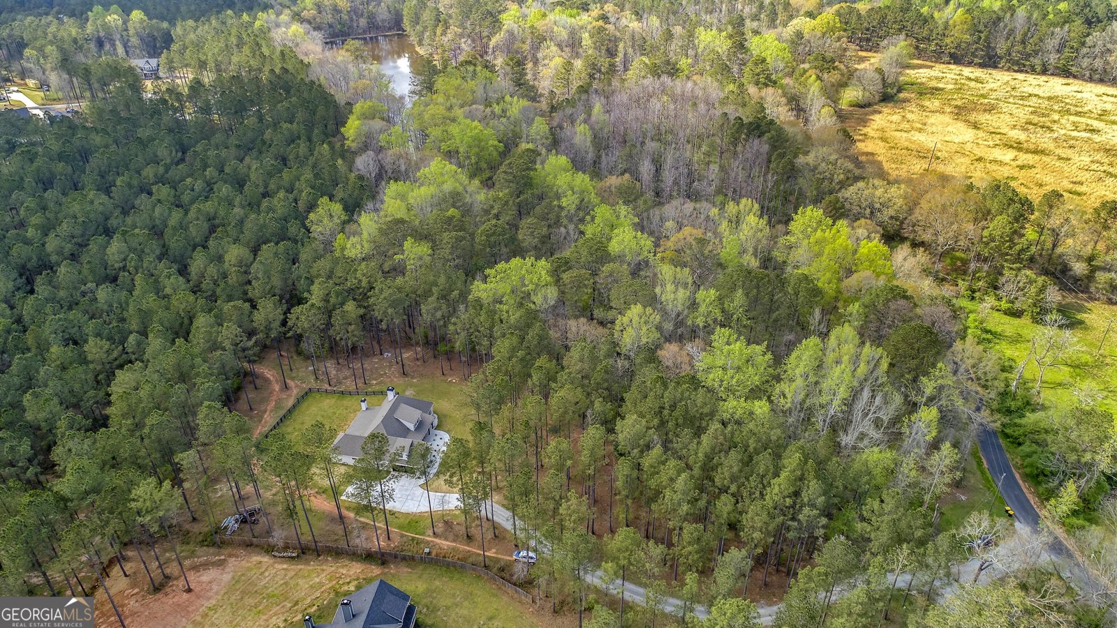 263 Bill Estes Road Senoia - Photo 6