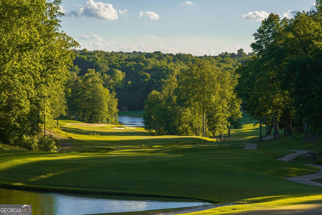 195 Stoneridge Court Dawsonville - Photo 101