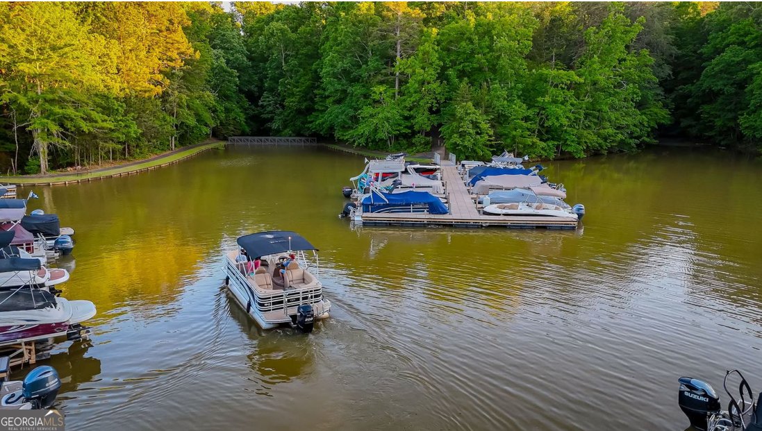 195 Stoneridge Court Dawsonville - Photo 102