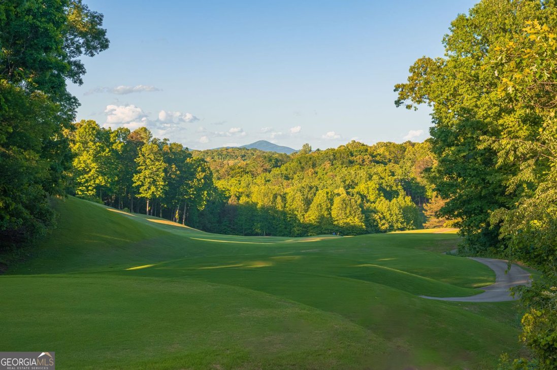 195 Stoneridge Court Dawsonville - Photo 110