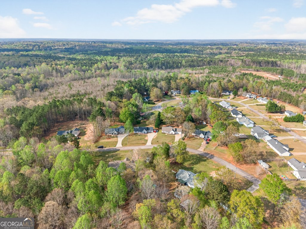 149 Bonnies Way Jenkinsburg - Photo 48