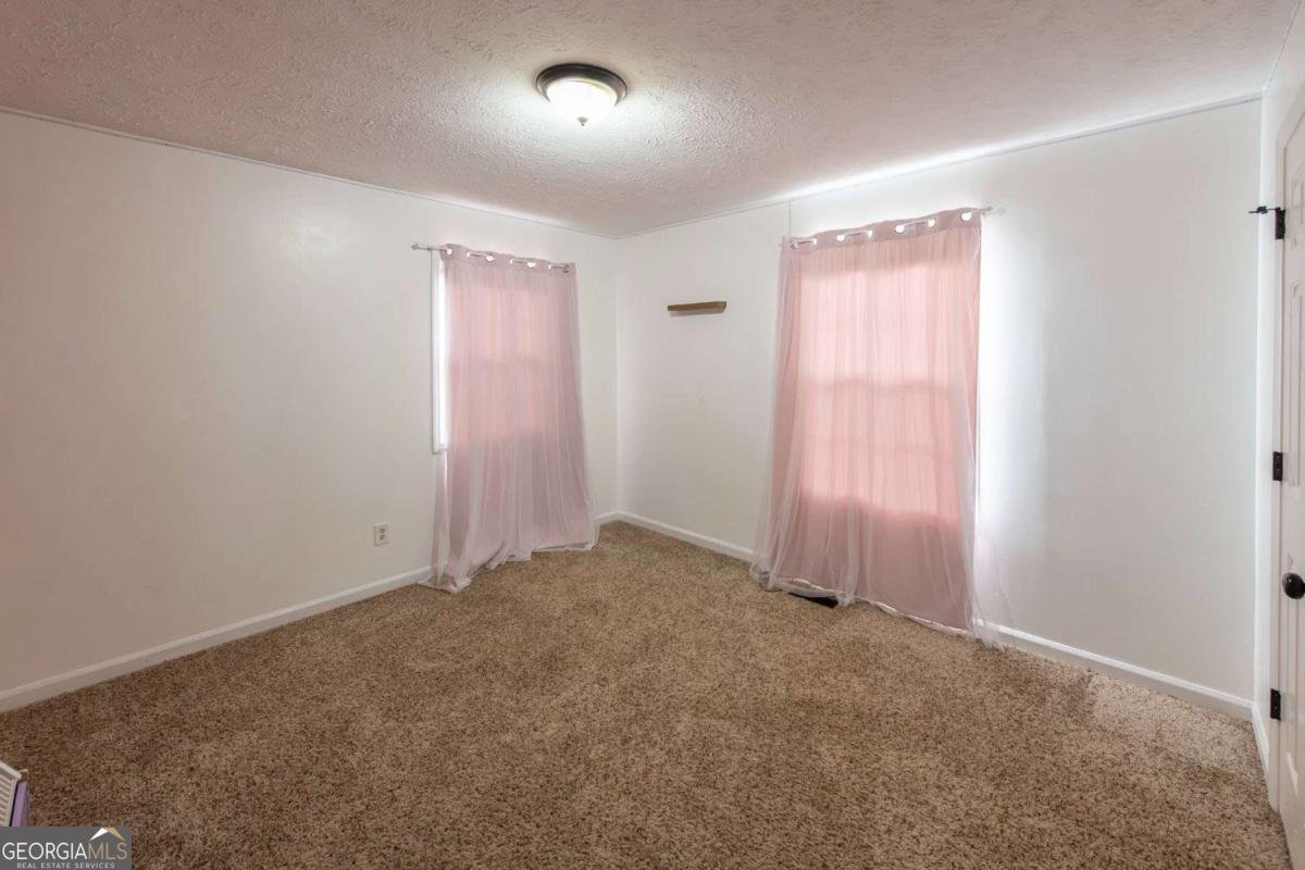 4020 Willow Ridge Road Douglasville - Photo 21