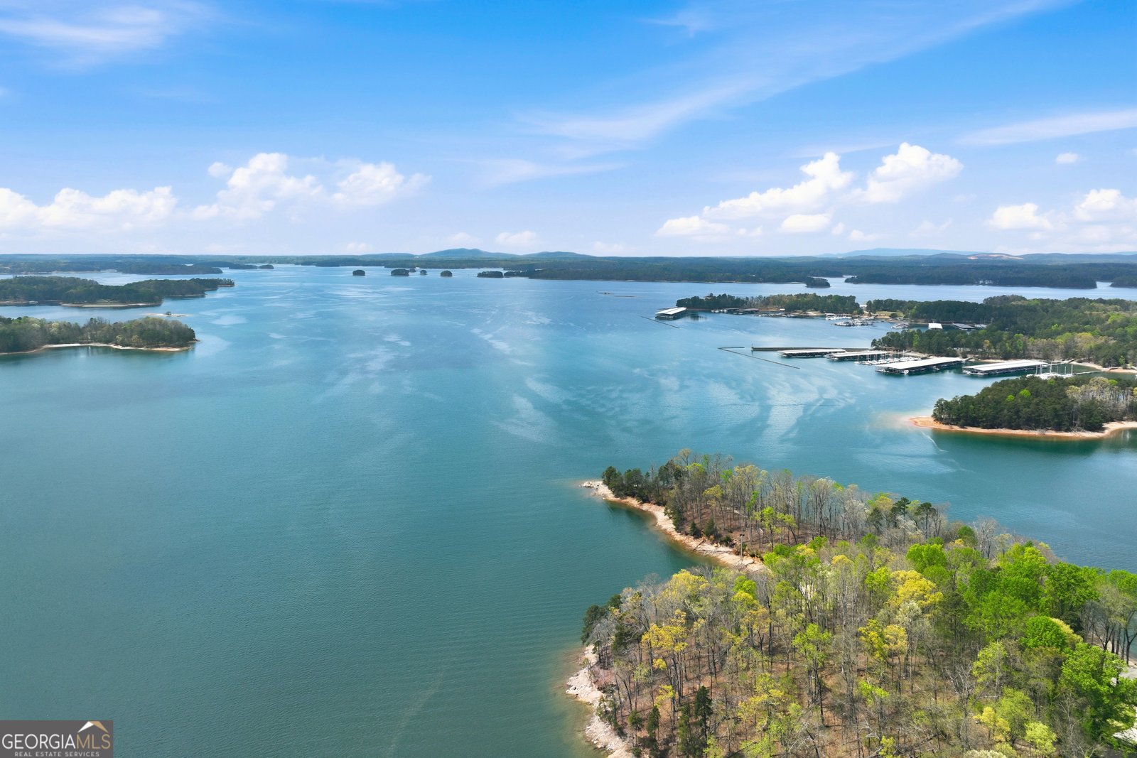 6023 Bateau Drive Flowery Branch - Photo 10