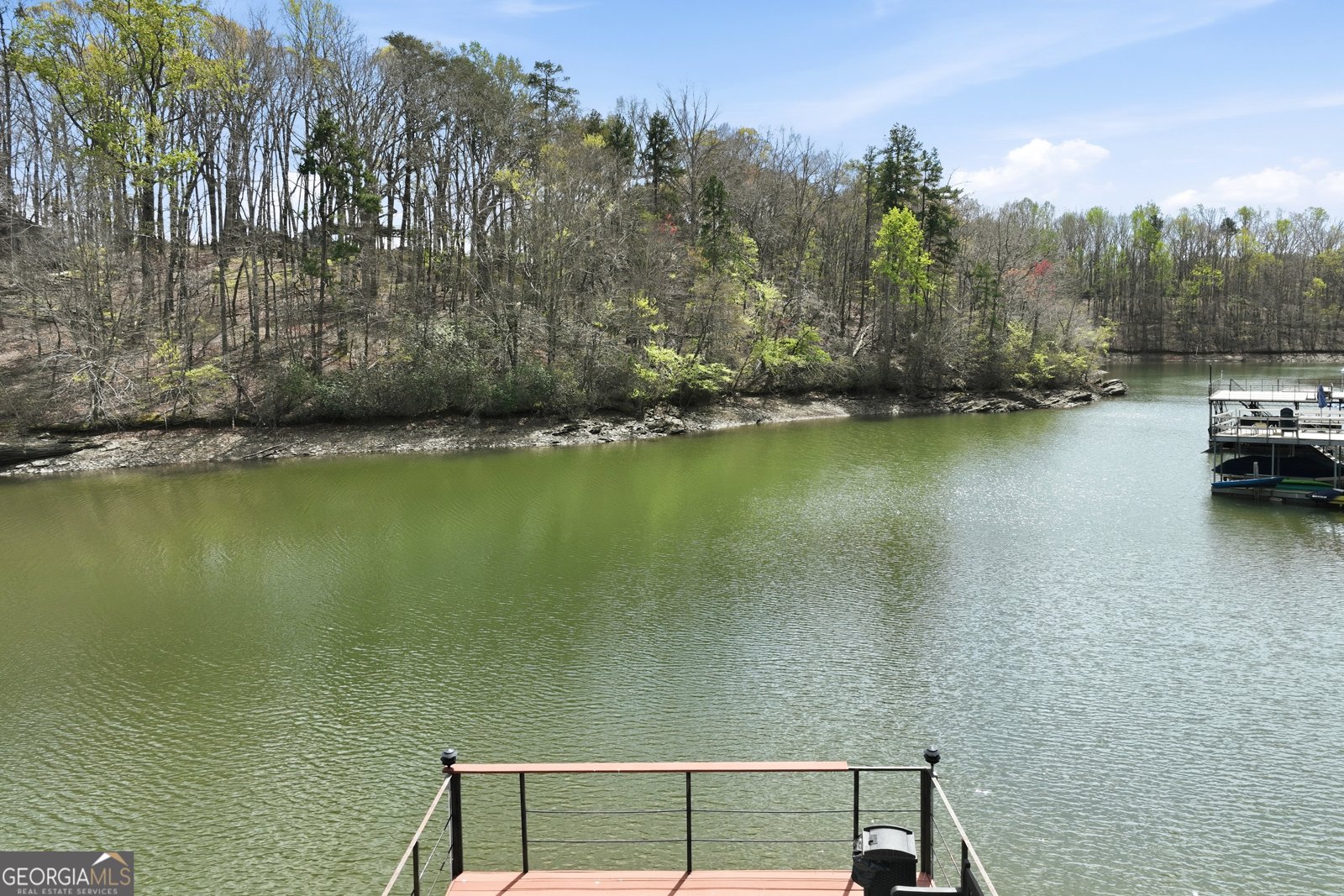 6023 Bateau Drive Flowery Branch - Photo 9