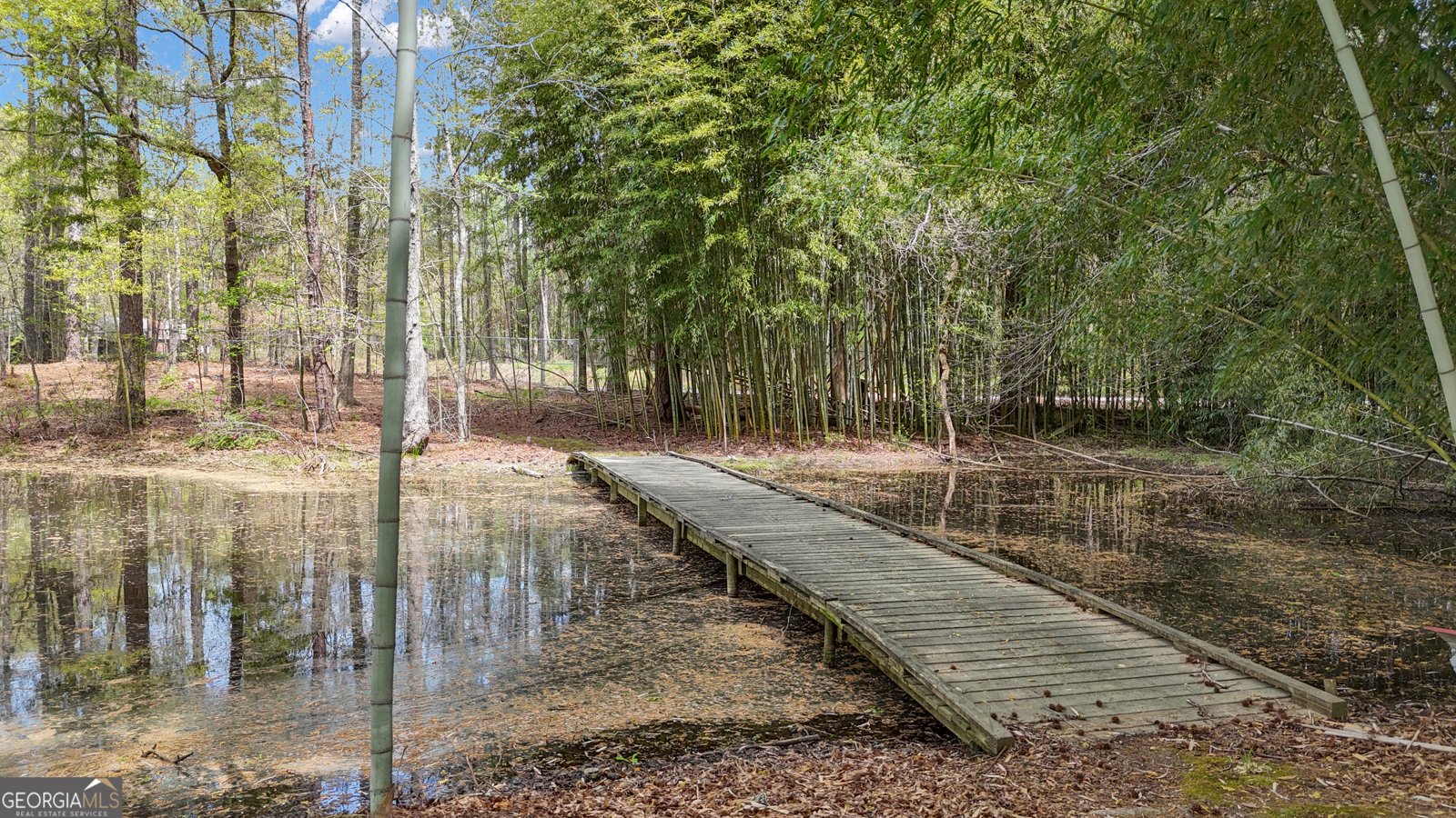 238 Kirkley Road Tyrone - Photo 23