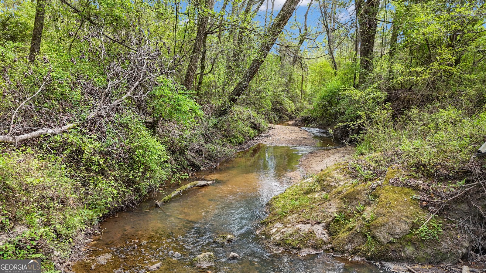 238 Kirkley Road Tyrone - Photo 25