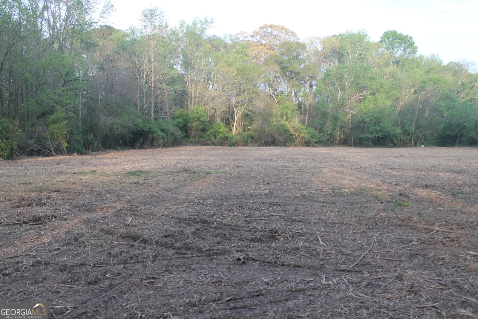 238 Kirkley Road Tyrone - Photo 51