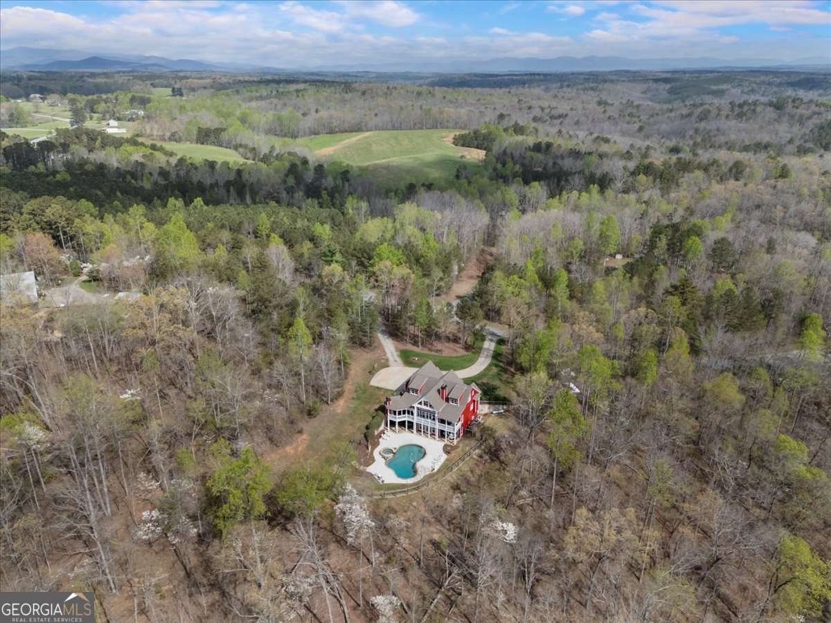 292 Etowah Drive Dawsonville - Photo 33