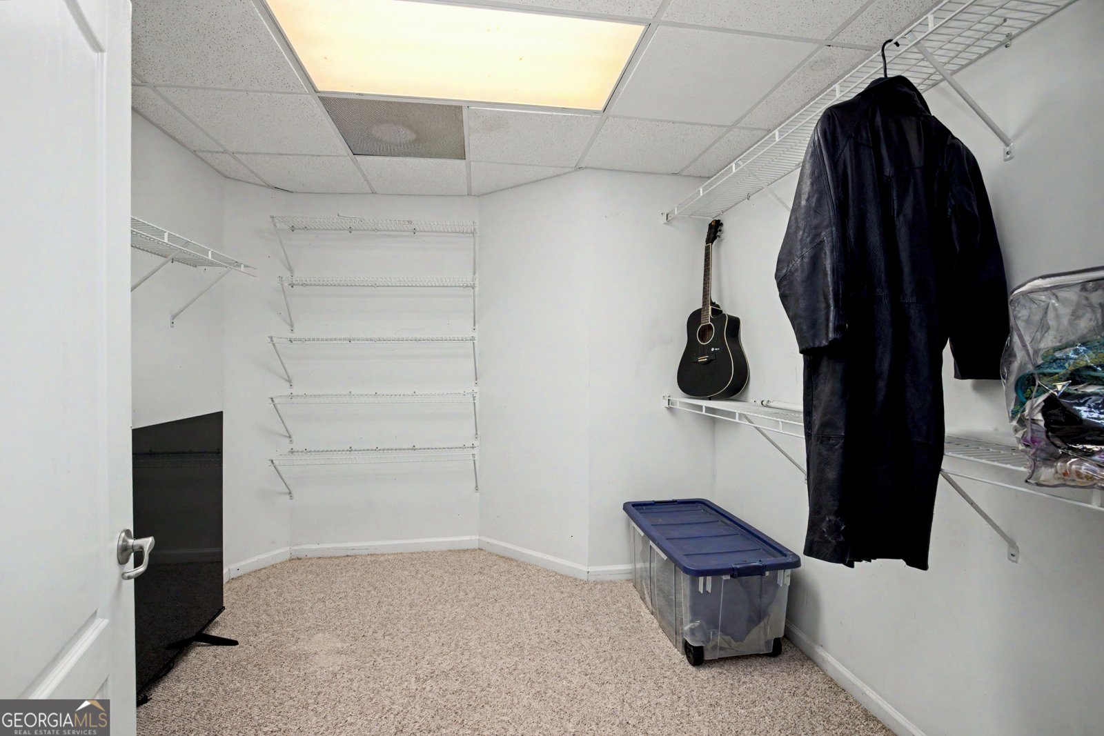 1815 Drew Allen Road Williamson - Photo 67