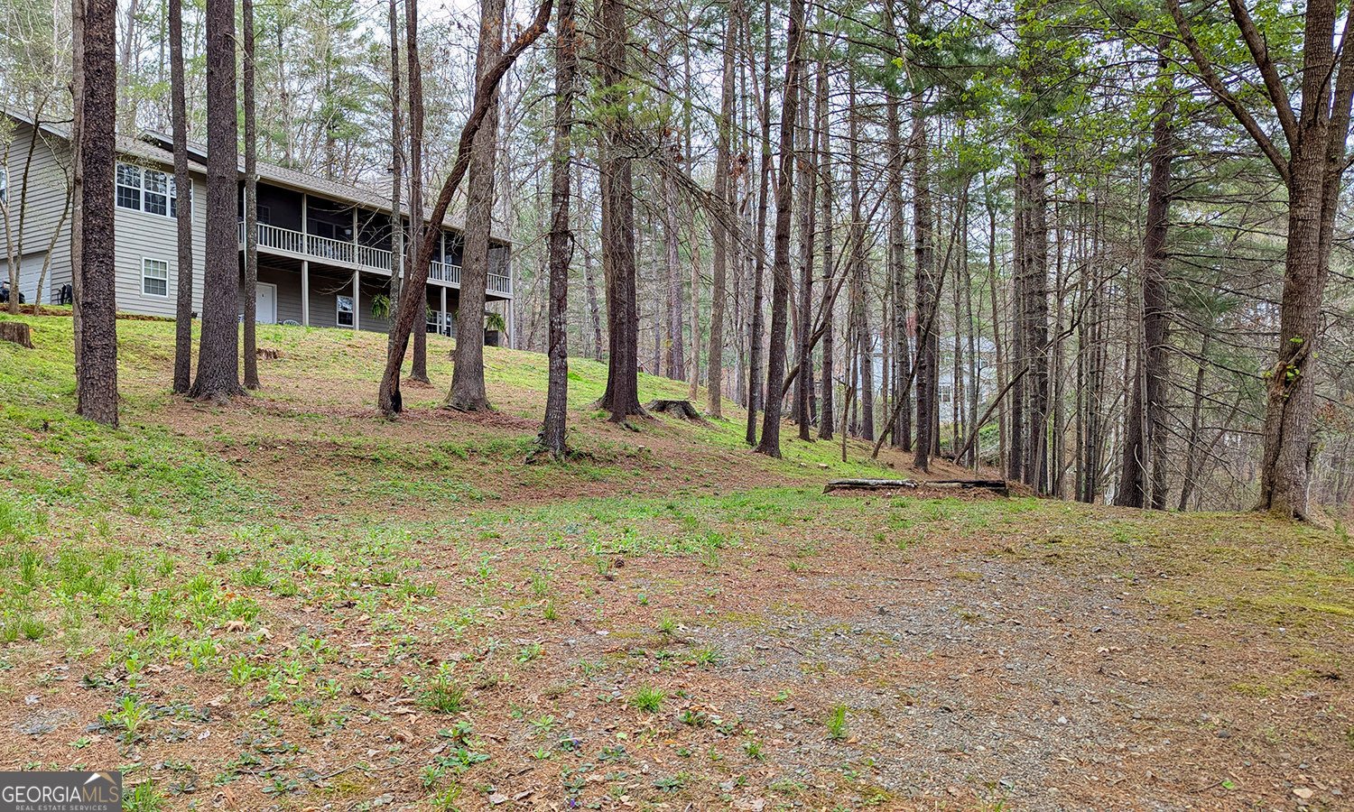 5302 Summer Wood Lane Young Harris - Photo 9