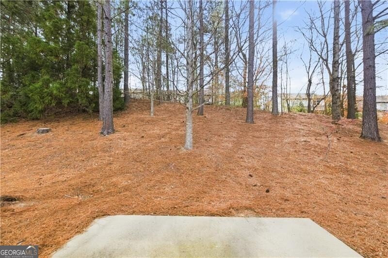 1895 Brannon Commons Circle Cumming - Photo 39