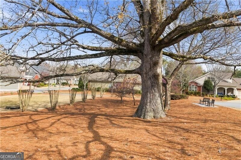 1895 Brannon Commons Circle Cumming - Photo 49