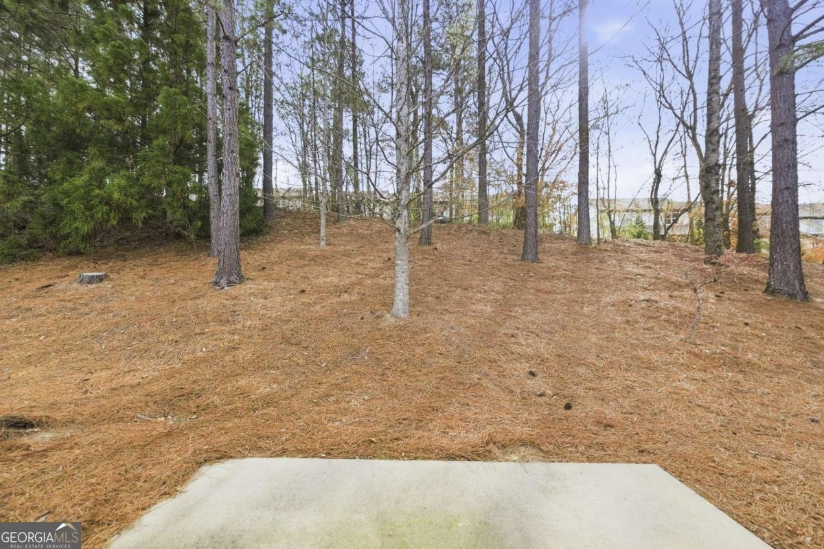 1895 Brannon Commons Circle Cumming - Photo 40